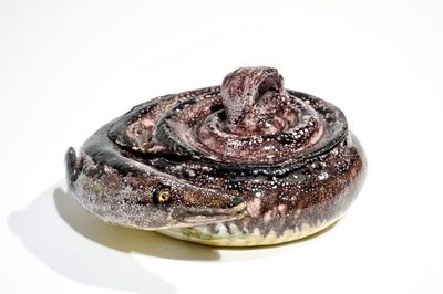A Brussels faience pike tureen and cover, 18th C.