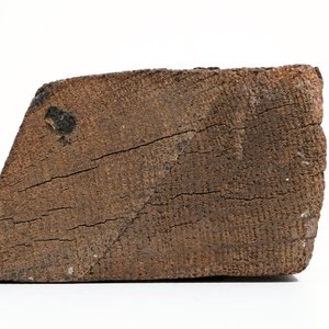 A bystander, retable fragment, oak, Antwerp, 16th C. — 照片 5