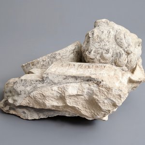 A carved stone wall fragment of a cherub's head with wing, 17/18th C. — 照片 5