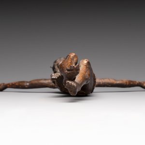 A carved wooden Corpus Christi with traces of polychromy, Spain, 16/17th C. — 照片 4