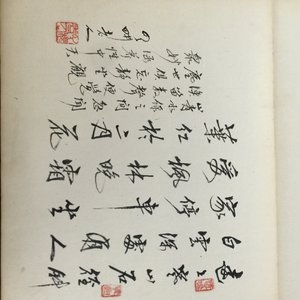 A Chinese album of watercolor drawings and calligraphy, 19/20th C. — photo 15