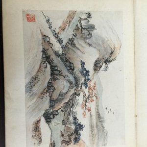 A Chinese album of watercolor drawings and calligraphy, 19/20th C. — photo 10
