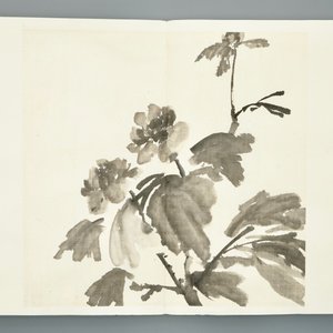 A Chinese album with paintings of blossoming branches, 20th C. — photo 5