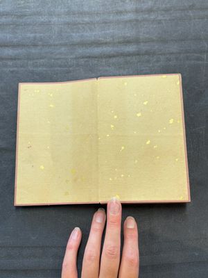 A Chinese album: 'Yuci Jingxinzhai Renwuce 御賜靜心齋人物冊', ink and colour on silk, Qianlong seal mark and of the period — 照片 19