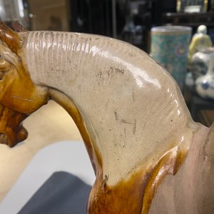 A Chinese amber- and cream-glazed pottery model of a horse, Tang — photo 14