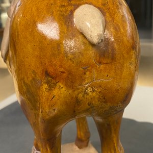A Chinese amber- and cream-glazed pottery model of a horse, Tang — photo 16
