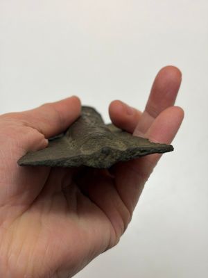 A Chinese archaic bronze fitting and a spearhead, Western Zhou — photo 9