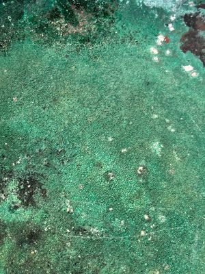 A Chinese archaic bronze tripod vessel and cover, 'ding 鼎', Eastern Zhou, Spring and Autumn period — photo 12