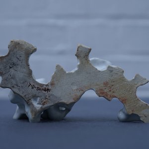 A Chinese blanc de Chine brush rest in the shape of a scholar's rock, 19/20th C. — photo 10
