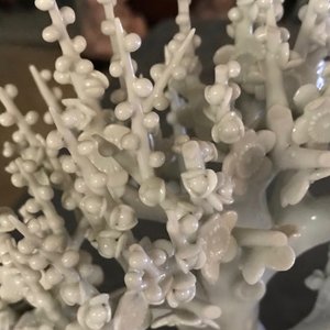 A Chinese blanc de Chine model of a tree, Kangxi — 照片 9