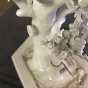 A Chinese blanc de Chine model of a tree, Kangxi — 照片 10