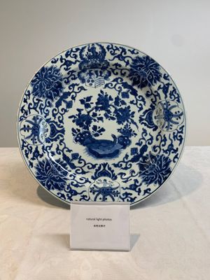 A Chinese blue and white armorial dish with the arms of Pelgrom for the Dutch market, Kangxi — photo 2
