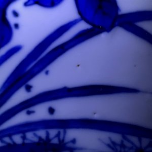 A Chinese blue and white 'bianco sopra bianco' yenyen vase with birds among flowers, Kangxi — 照片 24