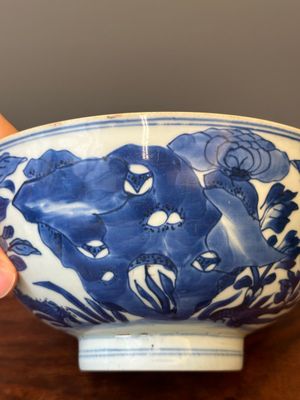 A Chinese blue and white 'birds among flowering branches' bowl, Shen De Tang Bo Gu Zhi 慎德堂博古製 mark, Kangxi — photo 9
