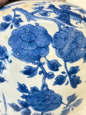 A Chinese blue and white 'birds among flowers' vase and cover, Kangxi — photo 18