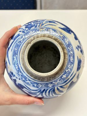 A Chinese blue and white 'birds among flowers' vase and cover, Kangxi — photo 6