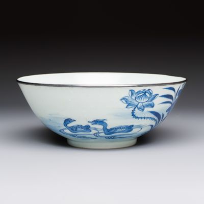 A Chinese blue and white 'Bleu de Hue' bowl with mandarin ducks in a lotus pond and a poem, Ngoan Ngoc 玩玉 mark, 19th C.