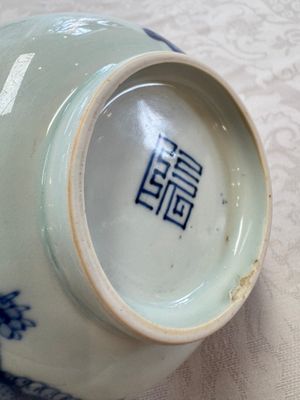 A Chinese blue and white 'Bleu de Hue' bowl with mythical beasts, Nguyen 阮 mark, 19th C. — 照片 8