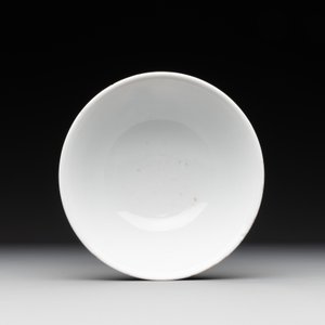 A Chinese blue and white 'Buddhist lion' bowl, Yongzheng mark and period — 照片 5