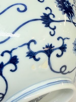 A Chinese blue and white 'Cao Long' bowl — foto 7