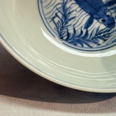 A Chinese blue and white 'Carp' bowl — foto 6