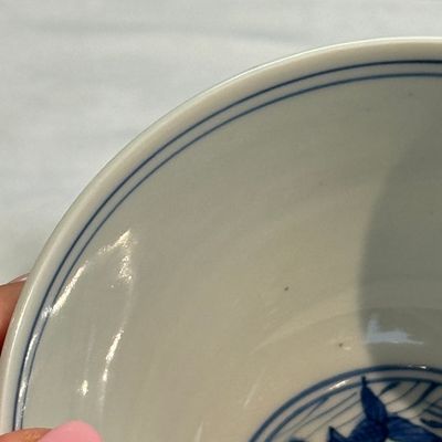 A Chinese blue and white 'Carp' bowl — foto 7