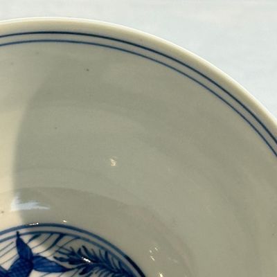 A Chinese blue and white 'Carp' bowl — foto 8