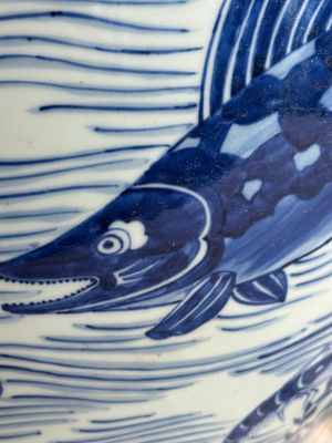 A Chinese blue and white 'carp' fishbowl, Kangxi — photo 11