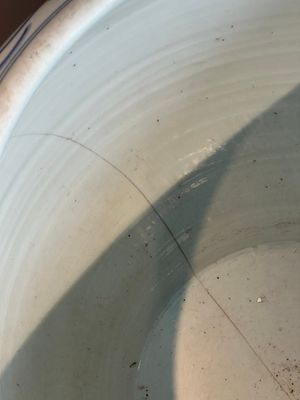 A Chinese blue and white 'carp' fishbowl, Kangxi — photo 7
