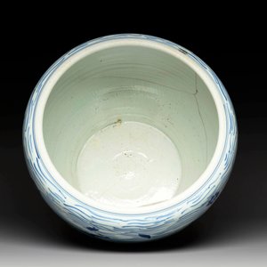 A Chinese blue and white 'carp' fishbowl, Kangxi — photo 5