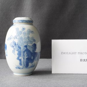 A Chinese blue and white covered tea caddy, Kangxi — 照片 8