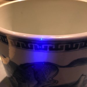 康熙  动物图青花瓷罐 — 照片 13