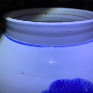 A Chinese blue and white 'deer and crane' vase, Kangxi — 照片 8