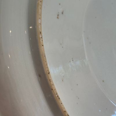 A Chinese blue and white dish with a raised medallion centre — photo 15