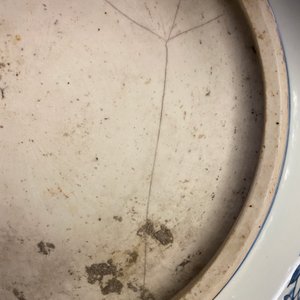 A Chinese blue and white dish with birds and squirrels, Jiajing — 照片 8