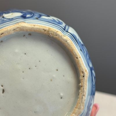 A Chinese blue and white double-gourd vase with floral design — photo 12