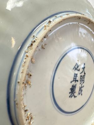 A Chinese blue and white 'Fish' plate, Chenghua mark, Tianqi — photo 14