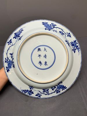 A Chinese blue and white 'four seasons' dish, Kangxi mark and of the period — 照片 2