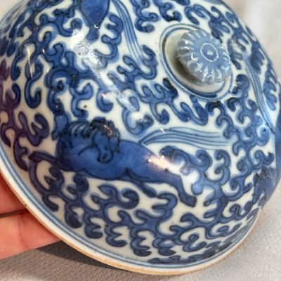 A Chinese blue and white 'Galloping Flying Horses' bowl and cover — photo 29