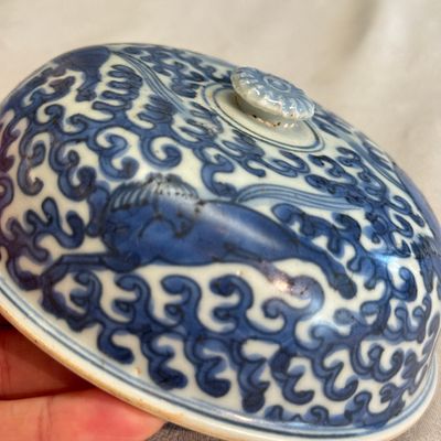 A Chinese blue and white 'Galloping Flying Horses' bowl and cover — photo 31
