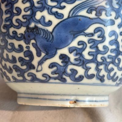 A Chinese blue and white 'Galloping Flying Horses' bowl and cover — photo 6