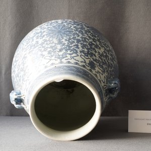 A Chinese blue and white 'hu' vase with lotus scrolls, 19th C. — 照片 28