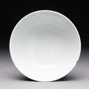 A Chinese blue and white imperial 'Bleu de Hue' bowl for the Vietnamese market, Thiệu Trị  紹治年製 mark and of the period — foto 2