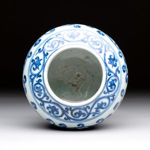 A Chinese blue and white jar with floral design, Ming — foto 6
