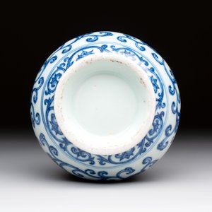 A Chinese blue and white jar with floral design, Ming — foto 7