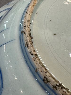 A Chinese blue and white kraak porcelain dish with birds among blossoming branches, Wanli — photo 9