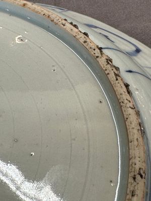 A Chinese blue and white kraak porcelain dish with birds among blossoming branches, Wanli — photo 10