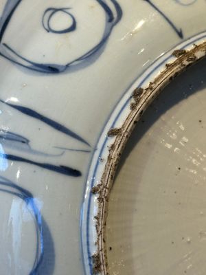 A Chinese blue and white kraak porcelain dish with geese near the water, Wanli — 照片 10