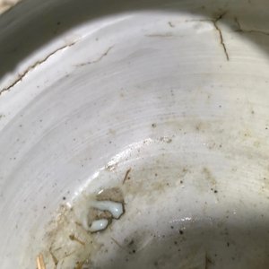 万历  青花瓷酒壶 — 照片 14
