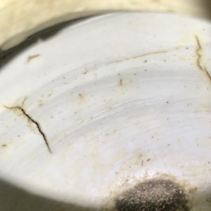 万历  青花瓷酒壶 — 照片 17
